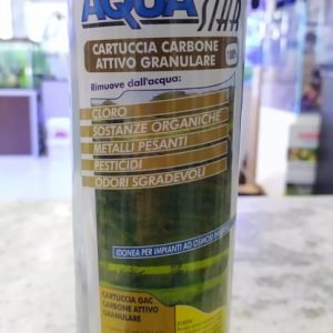 Cartuccia GAC 10 pollici