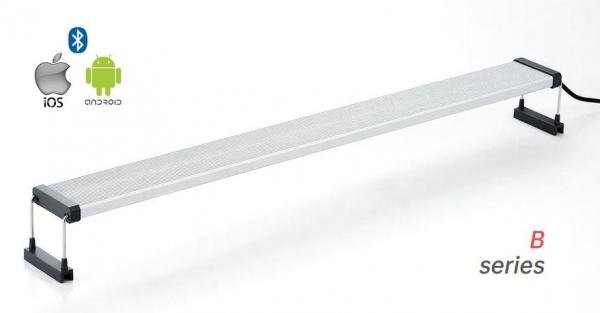 chihiros_B_ETIDFuZSw5Ap_large