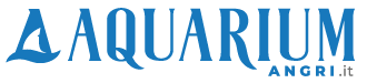 AquariumAngri