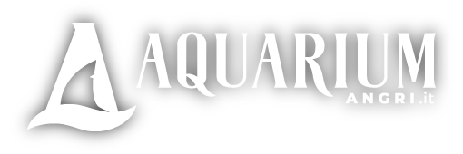 AquariumAngri