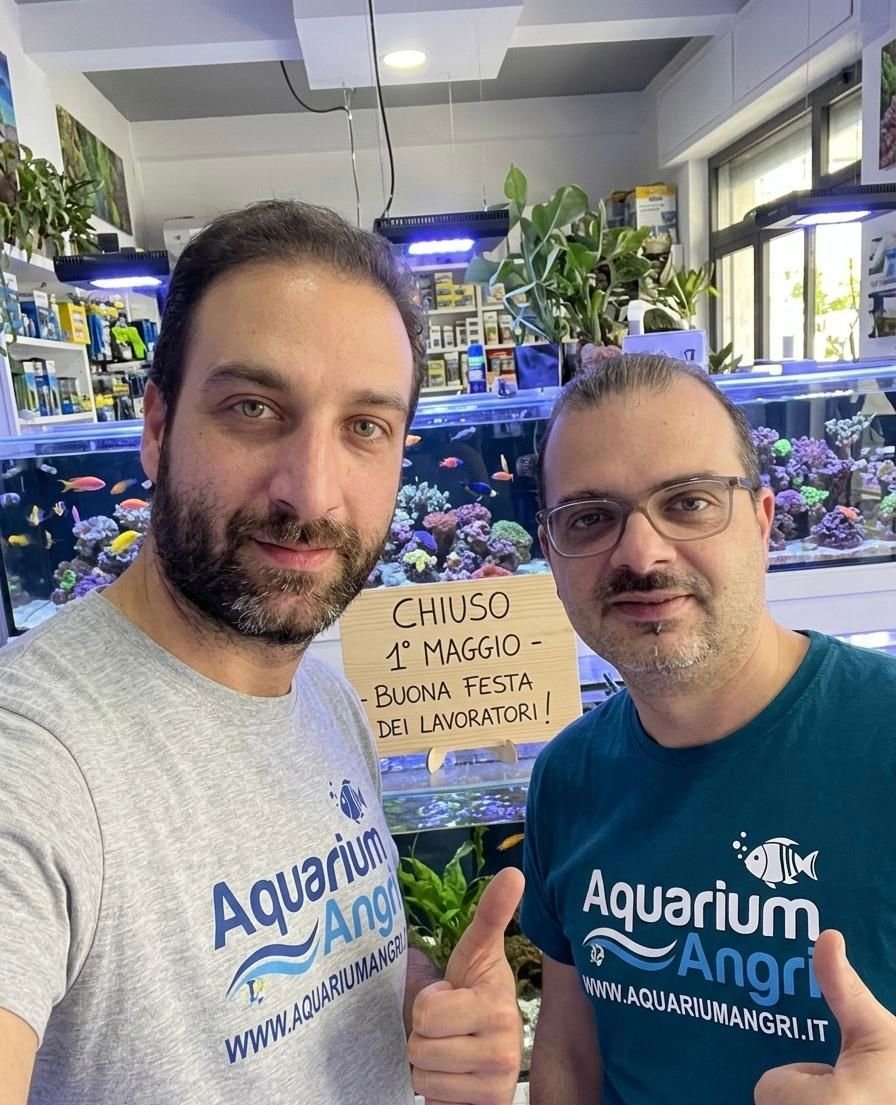 Enzo_Antonio